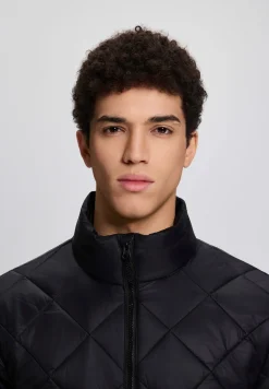 Hot Palmer Ulkoilutakit