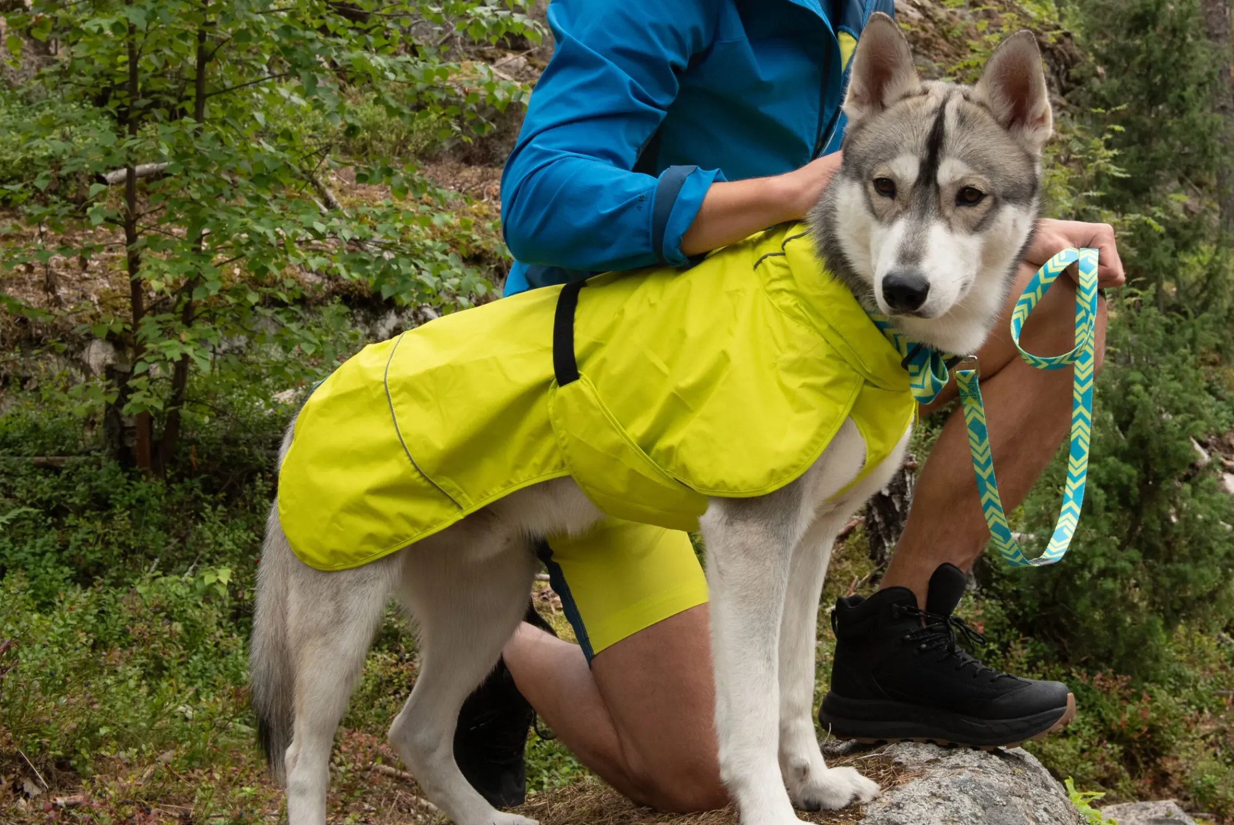 Best trike raincoat Koiran Sadetakit