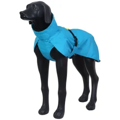 Best trike raincoat Koiran Sadetakit