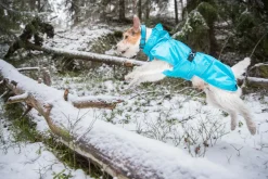 Best trike raincoat Koiran Sadetakit