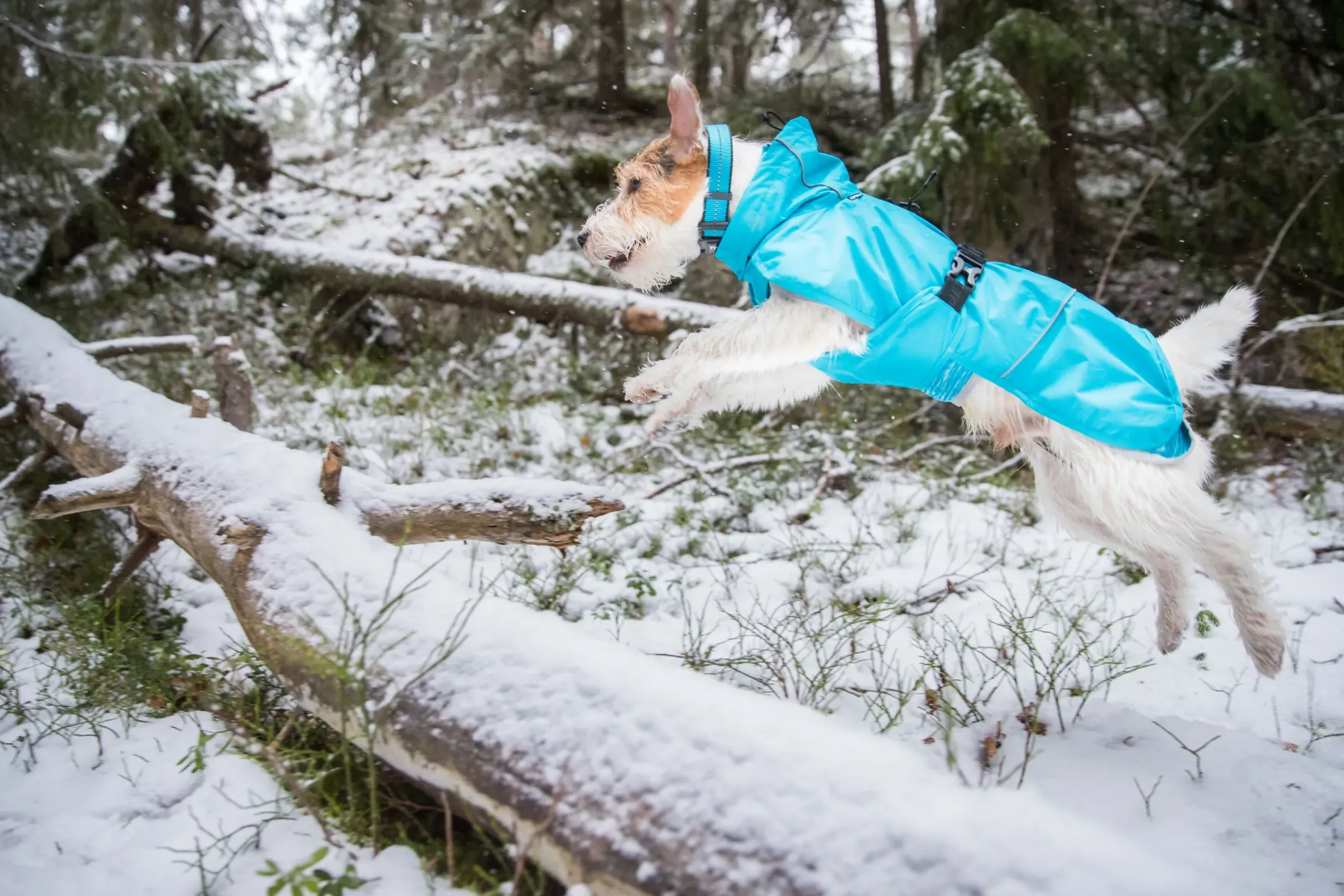 Best trike raincoat Koiran Sadetakit