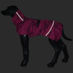 New trike war raincoat Koiran Sadetakit