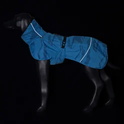 trike war raincoat Koiran Sadetakit