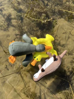 Sale Bird Floating Toy Lelut