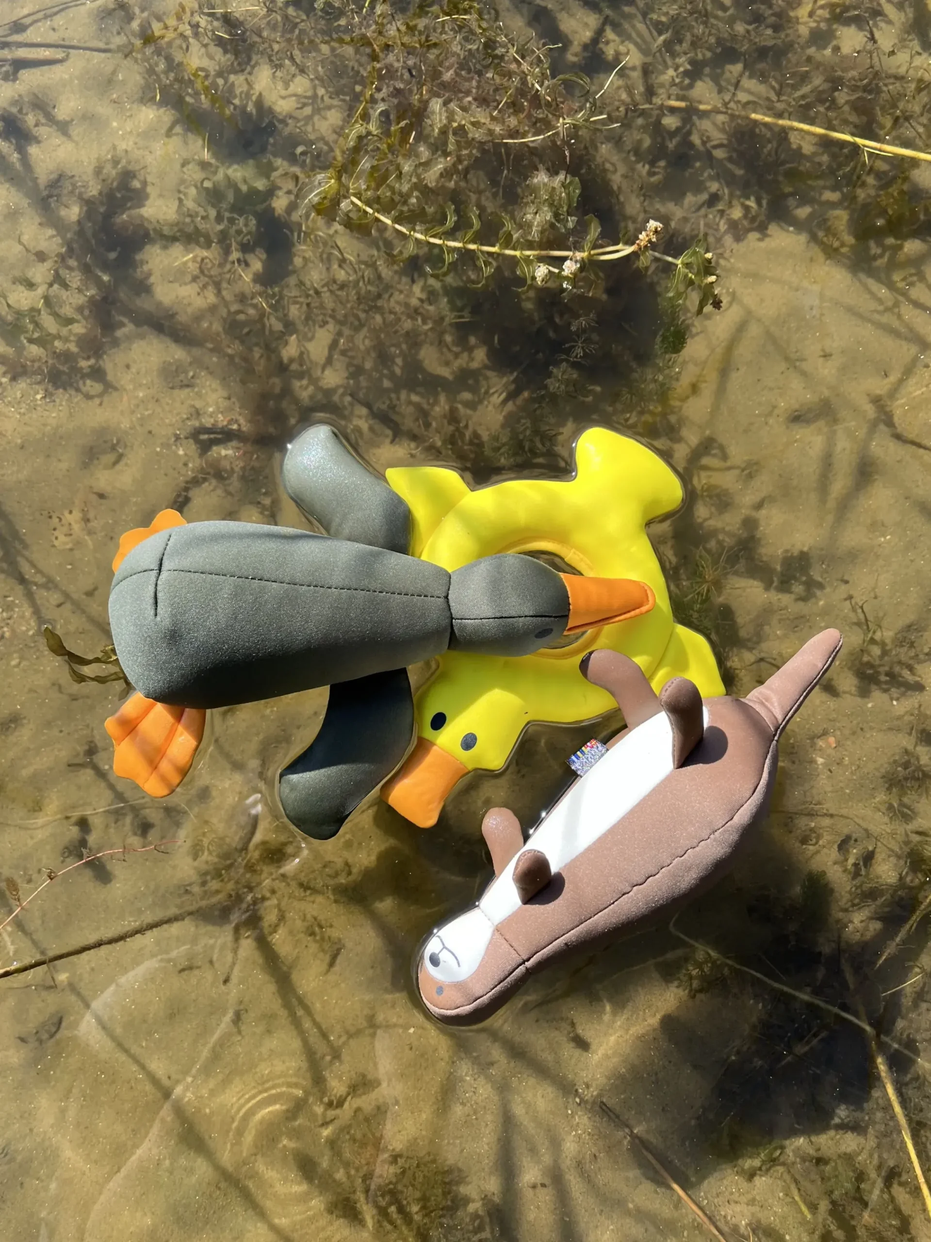 Sale Bird Floating Toy Lelut
