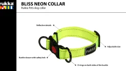 Outlet Bi neon coar Koiran Pannat