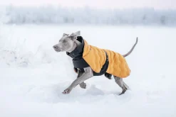 New Bubble Coat Koiran Talvitakit