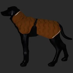 New Bubble Coat Koiran Talvitakit