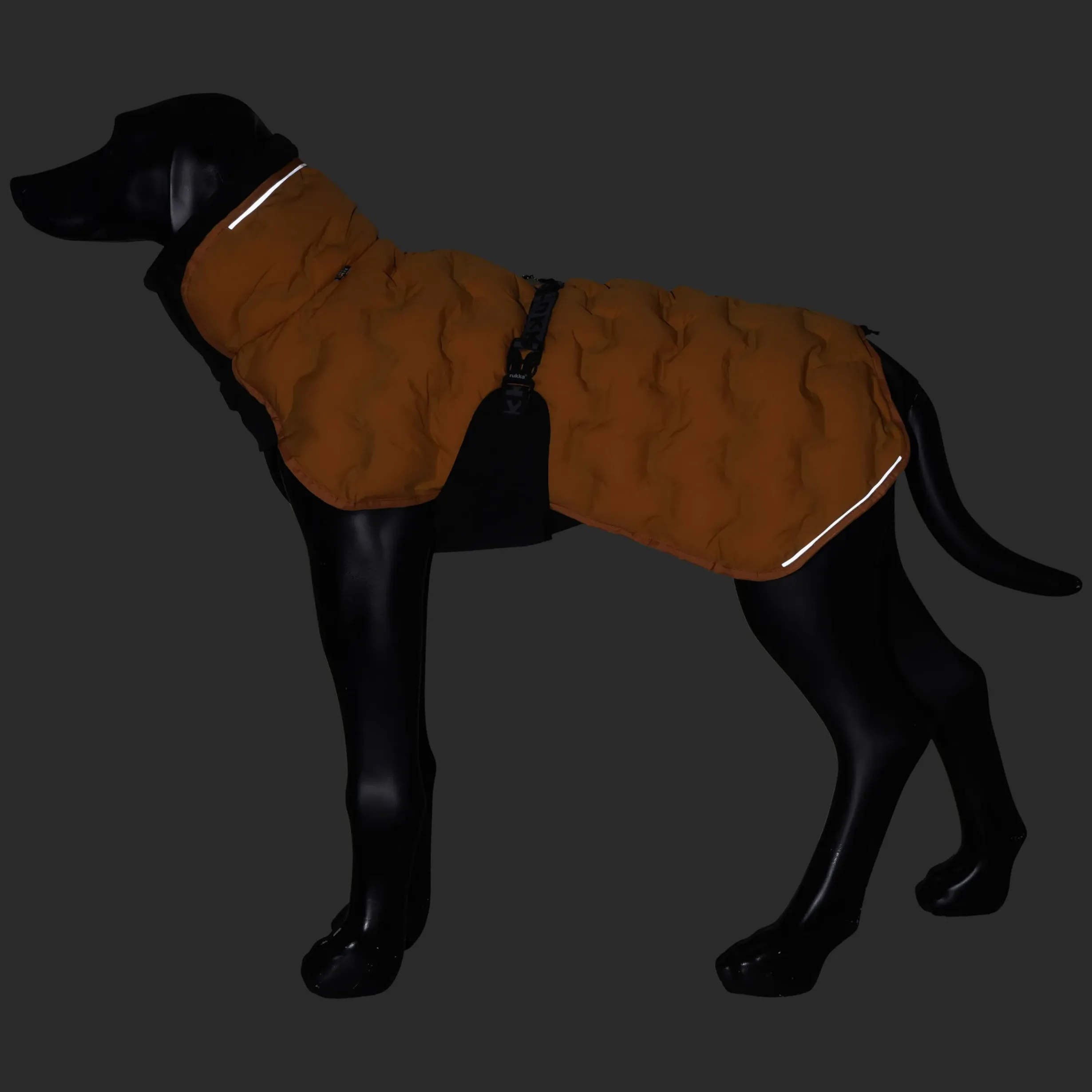 New Bubble Coat Koiran Talvitakit