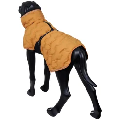 New Bubble Coat Koiran Talvitakit