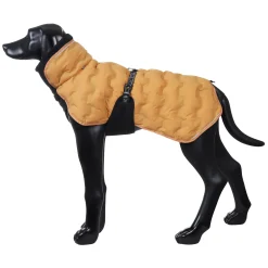 New Bubble Coat Koiran Talvitakit