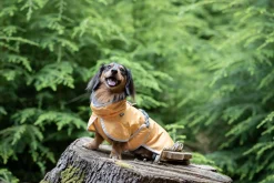 Best Crisp Cooling UV Jacket Turvavarusteet