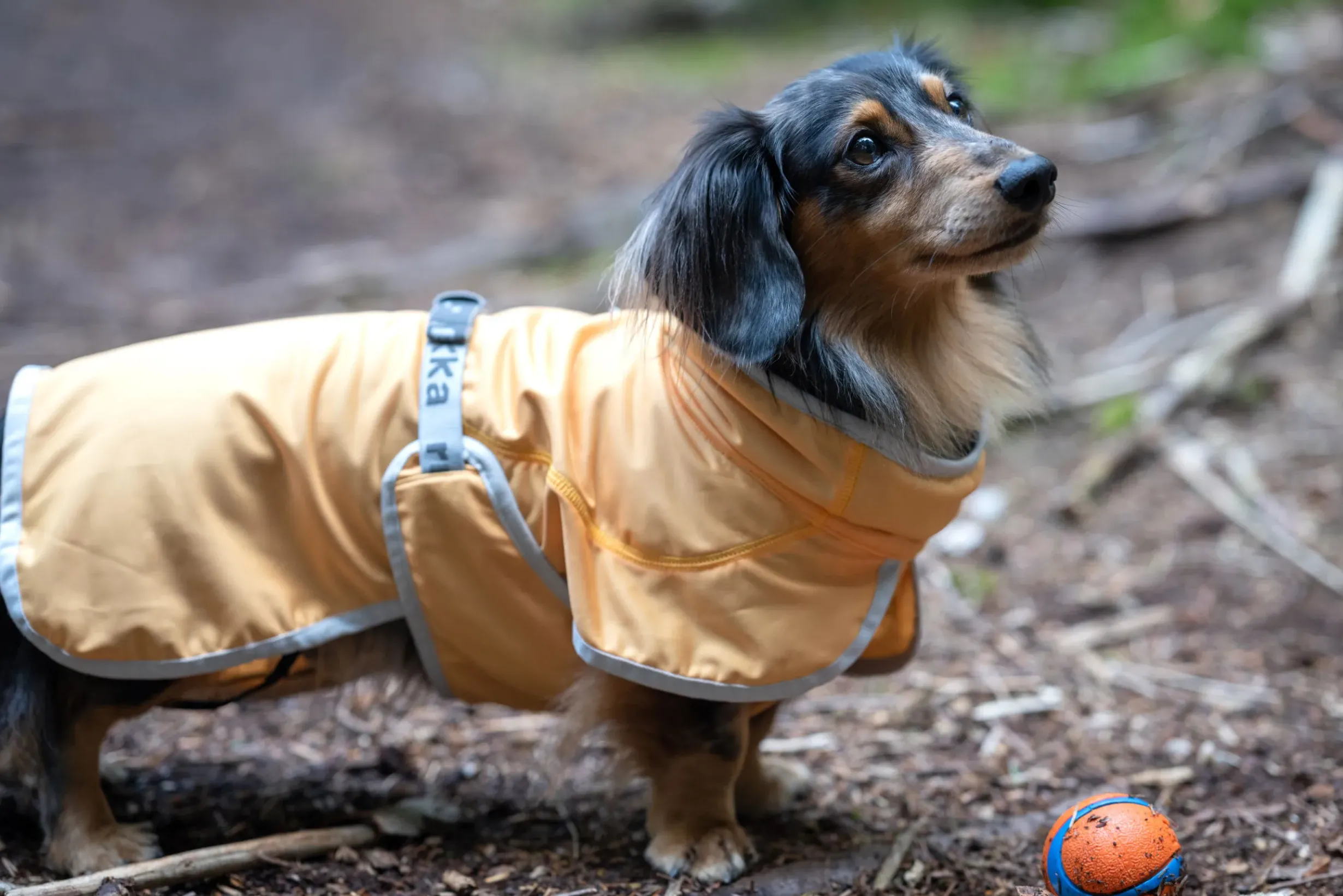 Best Crisp Cooling UV Jacket Turvavarusteet