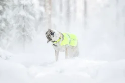Online Fap viibe vet Turvavarusteet