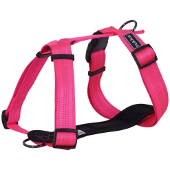 Clearance For neon harne Koiran Valjaat