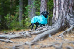 Sale Hase raincoat Koiran Sadetakit