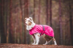 Hot Hase raincoat Koiran Sadetakit