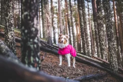 Hot Hase raincoat Koiran Sadetakit
