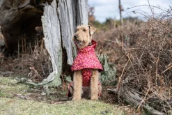 Hayton warm raincoat Koiran Sadetakit