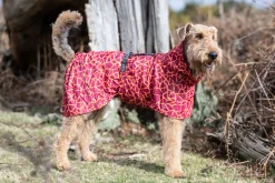 Hayton warm raincoat Koiran Sadetakit
