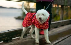 Hayton warm raincoat Koiran Sadetakit