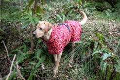 Hayton warm raincoat Koiran Sadetakit