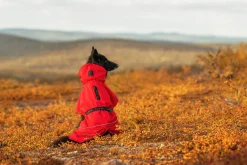 Clearance Hayton x raincoat Koiran Sadetakit
