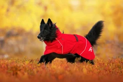 Clearance Hayton x raincoat Koiran Sadetakit