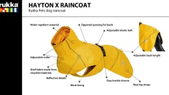 New Hayton x raincoat Koiran Sadetakit
