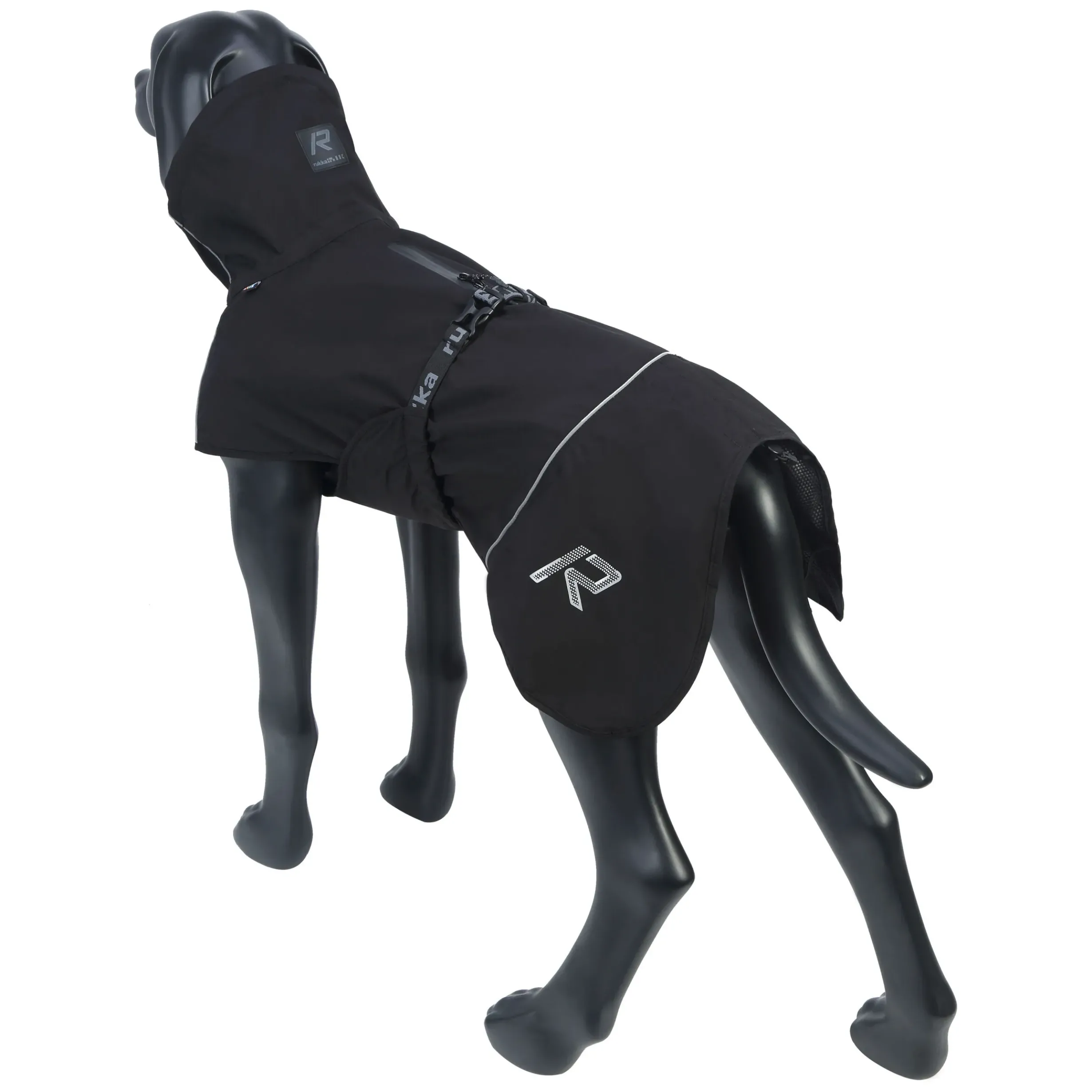New Hayton x raincoat Koiran Sadetakit