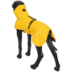 New Hayton x raincoat Koiran Sadetakit