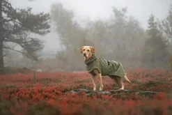 Clearance Ripple Raincoat Koiran Sadetakit