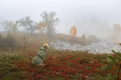Clearance Ripple Raincoat Koiran Sadetakit