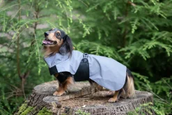 Best Shine raincoat Koiran Sadetakit
