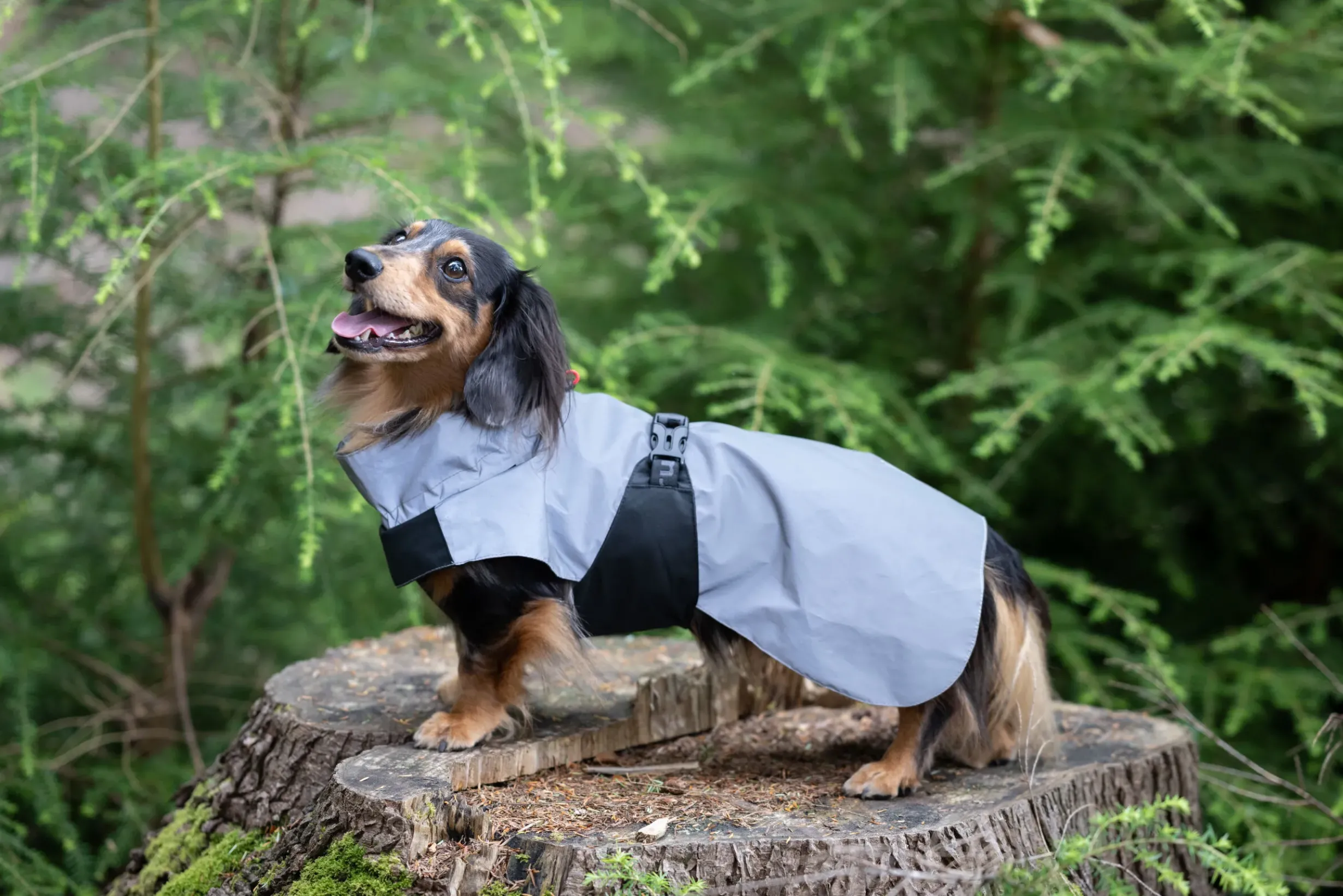 Best Shine raincoat Koiran Sadetakit