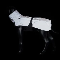 Best Shine raincoat Koiran Sadetakit