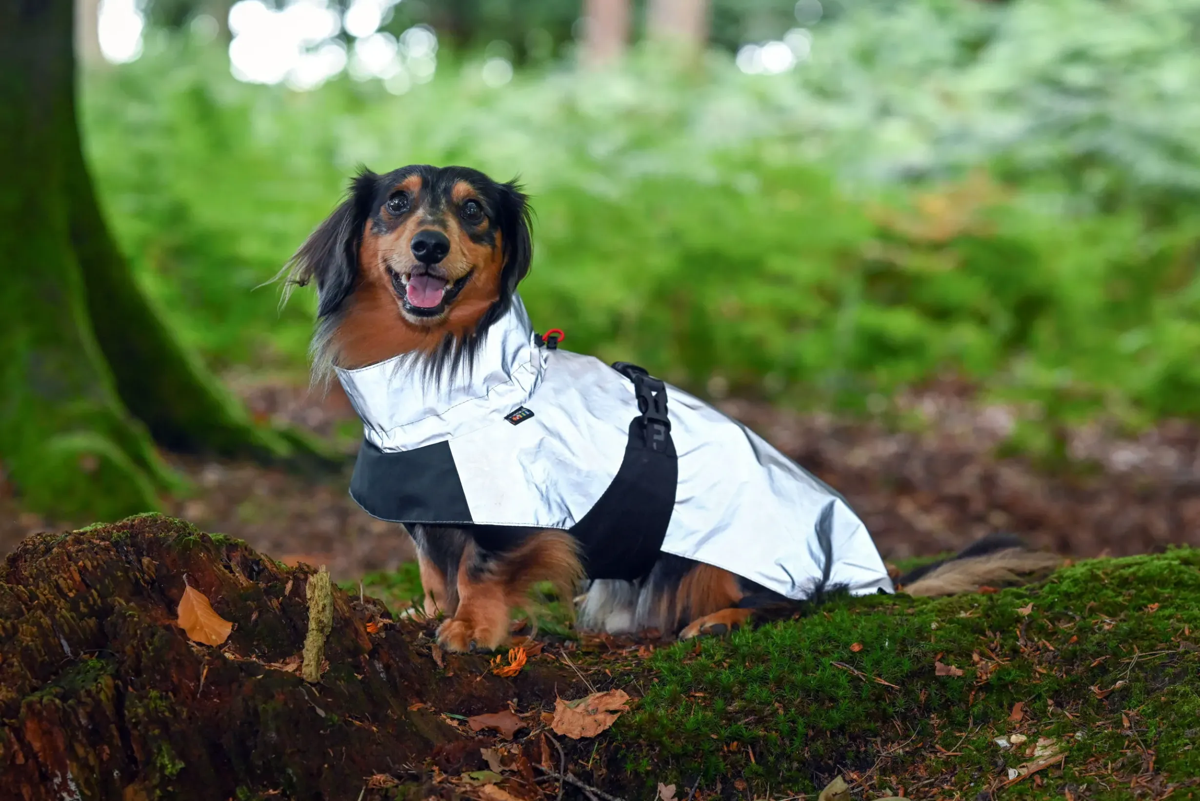 Best Shine raincoat Koiran Sadetakit