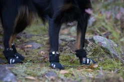 Best Step shoes Tarvikkeet|Koiran Tossut