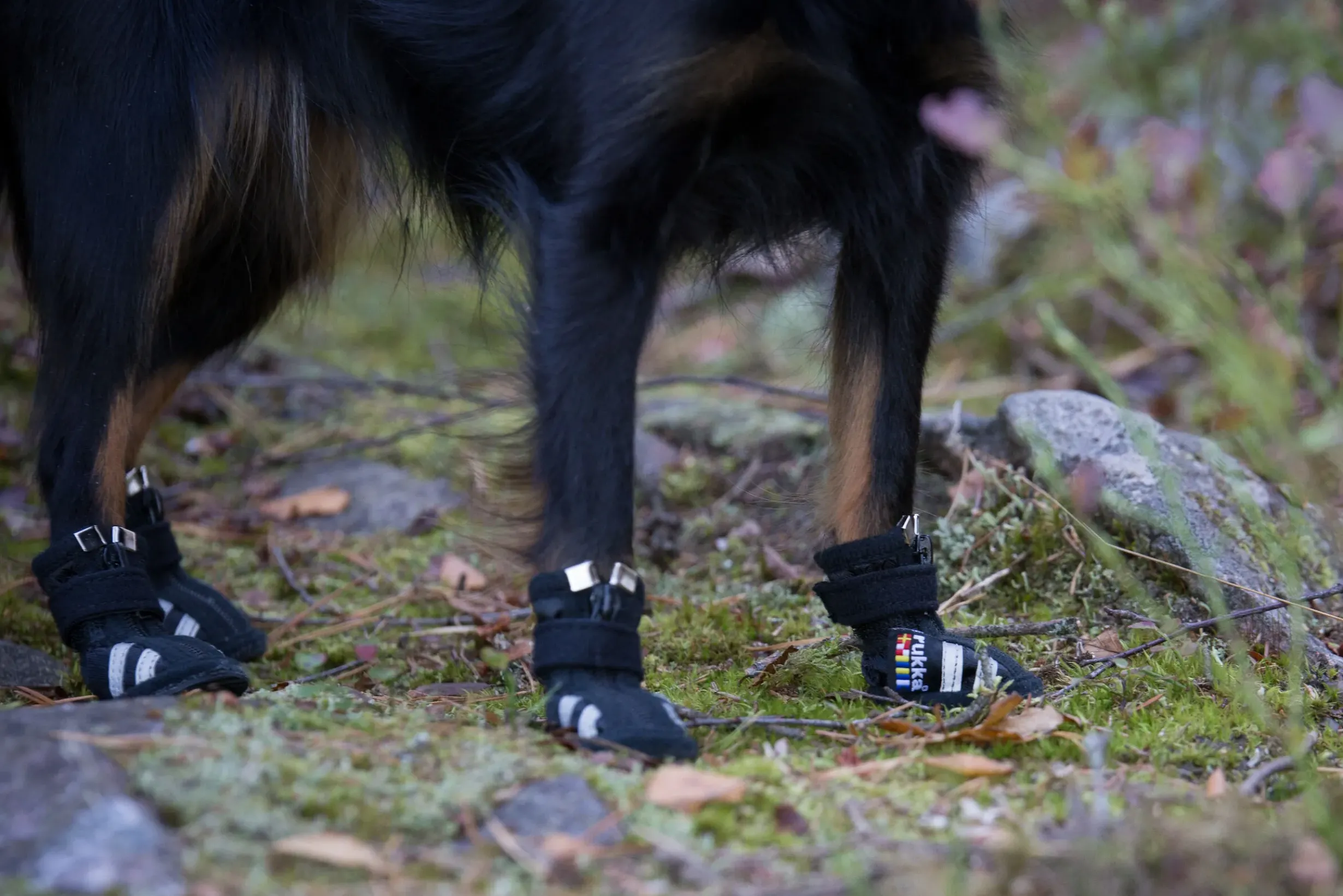 Best Step shoes Tarvikkeet|Koiran Tossut