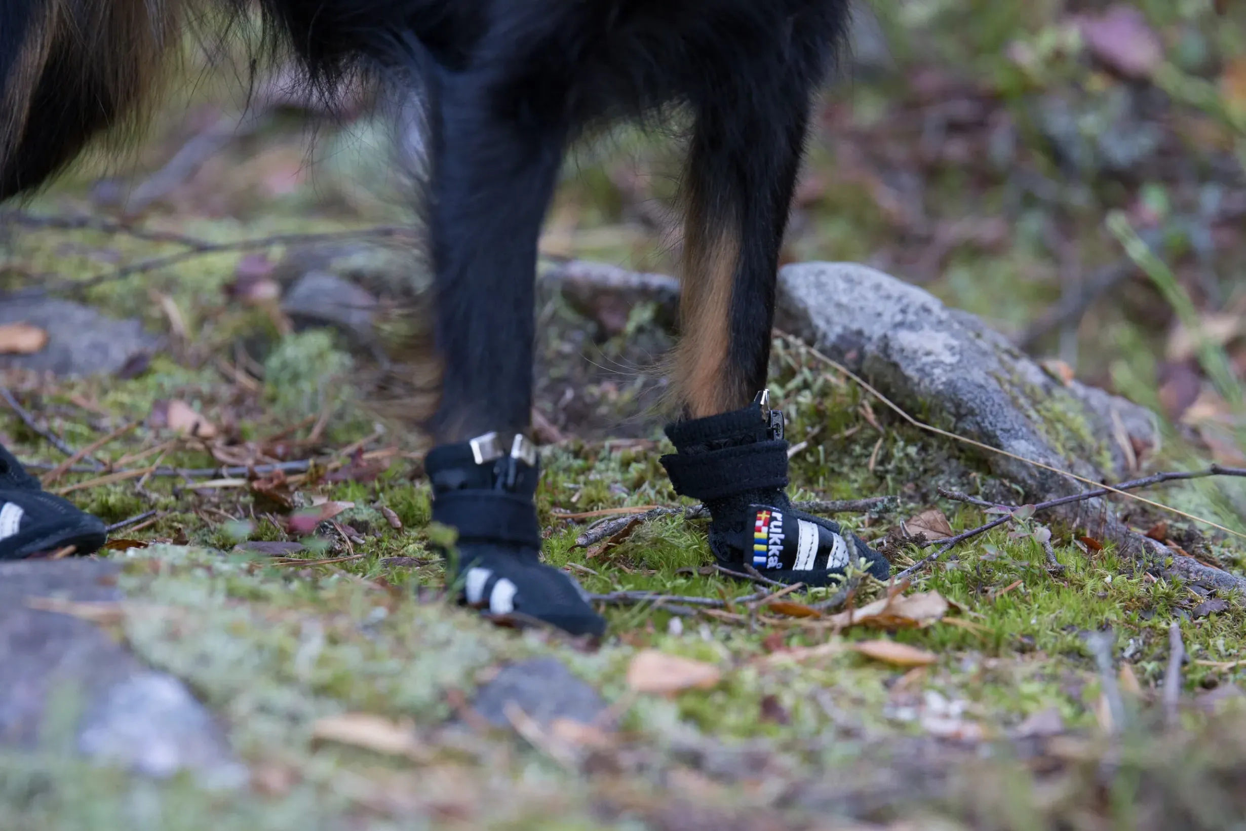Best Step shoes Tarvikkeet|Koiran Tossut