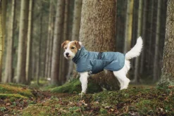Best Stormy coat Koiran Talvitakit