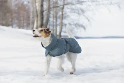 Best Stormy coat Koiran Talvitakit
