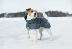 Best Stormy coat Koiran Talvitakit