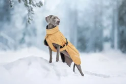 Best Stormy coat Koiran Talvitakit
