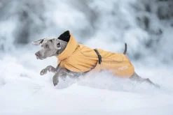 Best Stormy coat Koiran Talvitakit