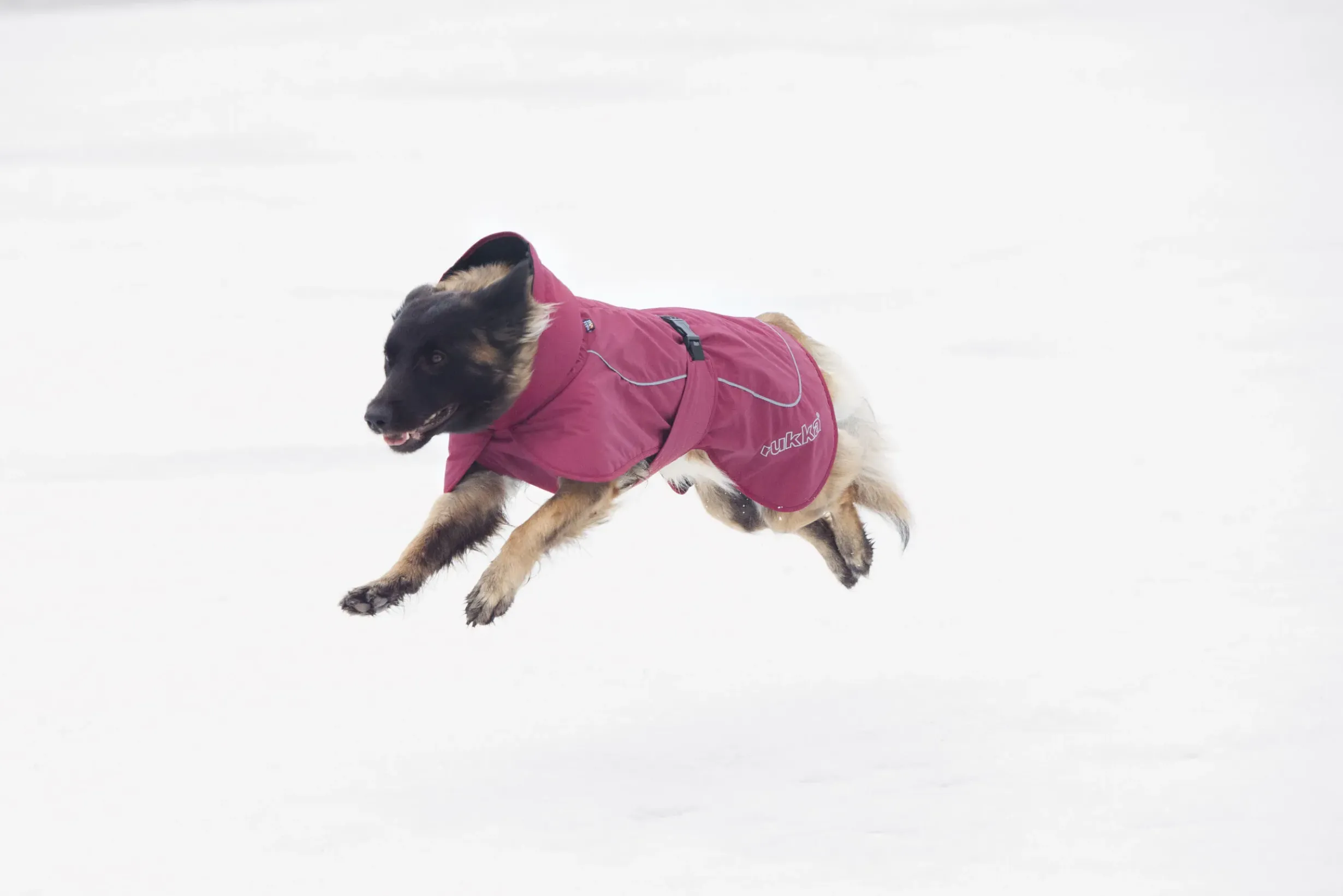 Clearance Stormy coat Koiran Talvitakit