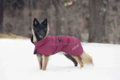 Clearance Stormy coat Koiran Talvitakit