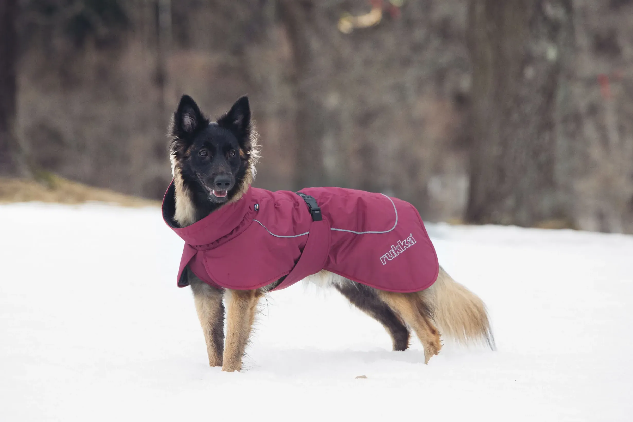 Clearance Stormy coat Koiran Talvitakit