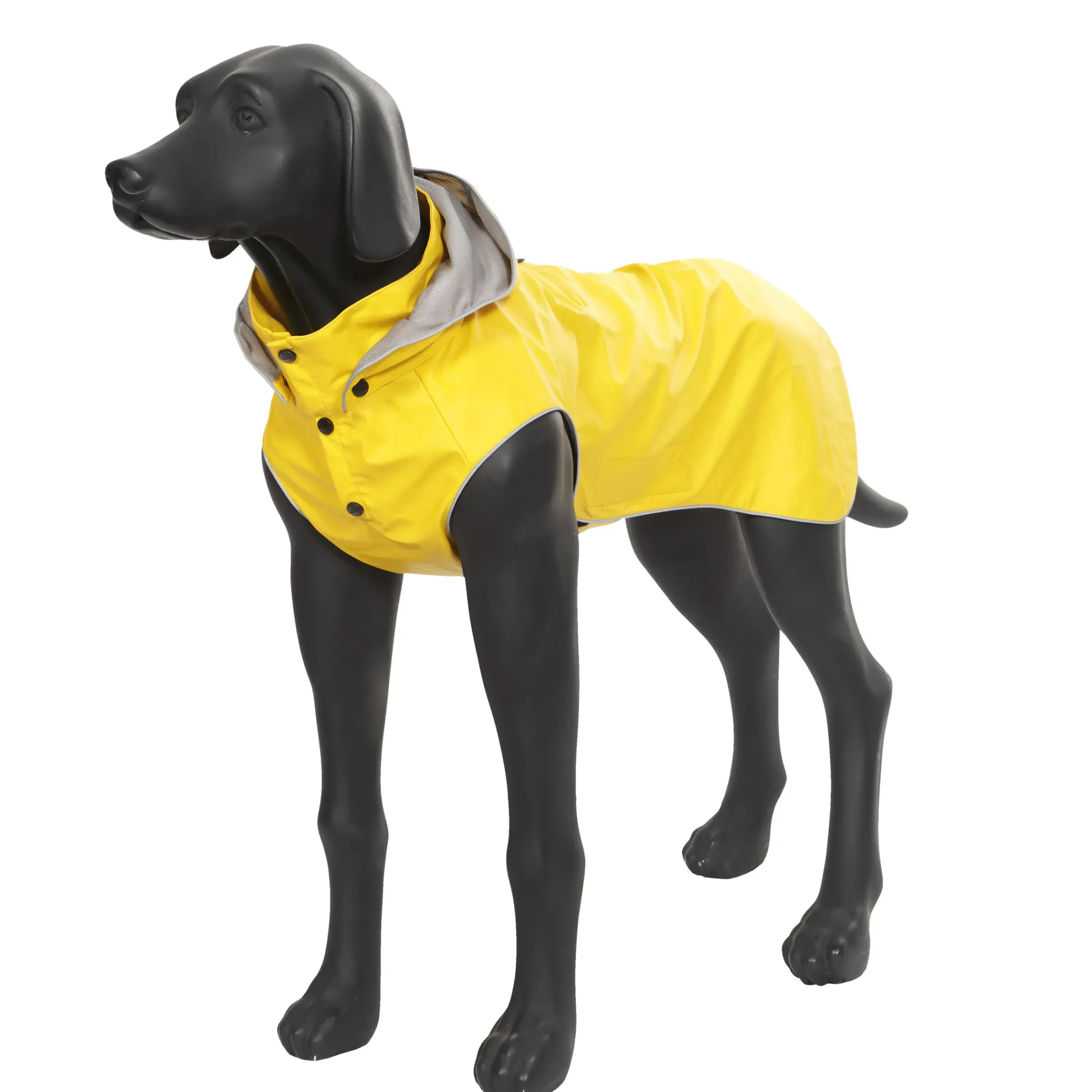 Outlet Stream raincoat Koiran Sadetakit