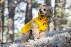 Outlet Stream raincoat Koiran Sadetakit